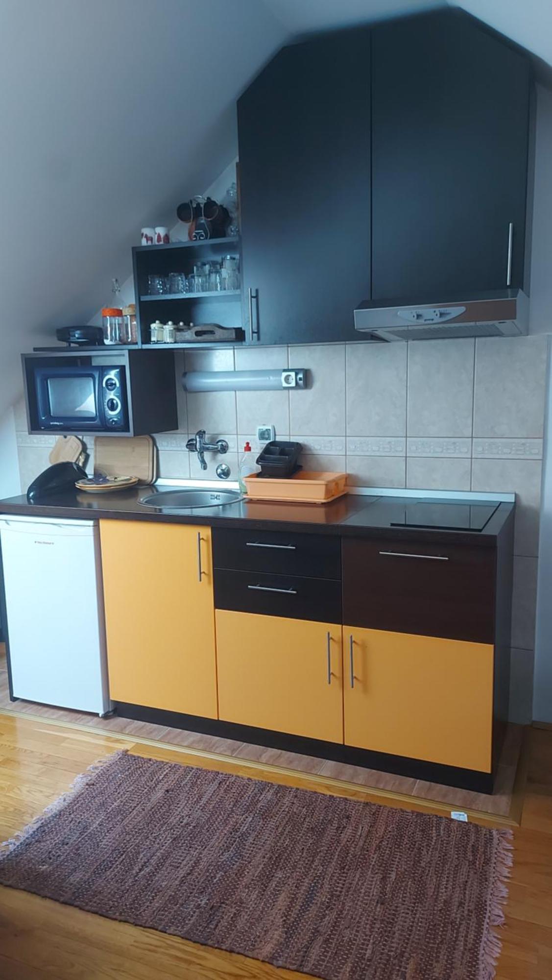 Apartment Sanjakostarelja *
